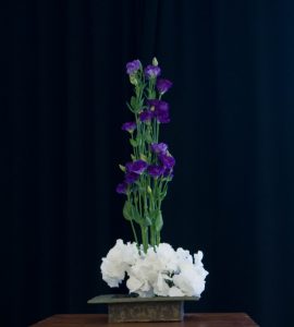 L'ombra e la quiete