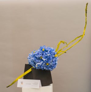 Lucia Coppola