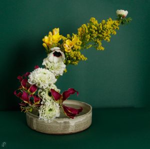 Solo fiori