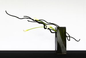 Bianco e nero
