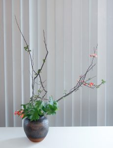 Tsubo vases