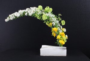 Pasqua