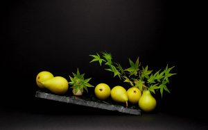 Ikebana ispirato ai lavori di Giuseppe Carta