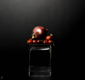 Ikebana ispirato ai lavori di Giuseppe Carta