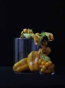 Ikebana ispirato ai lavori di Giuseppe Carta