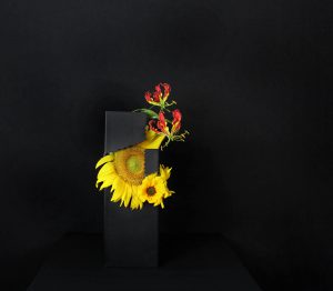 Materiali di stagione