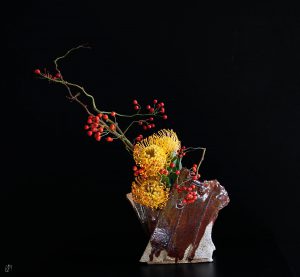 Rami con frutti