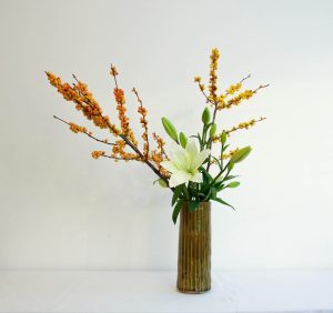 Maria Grazia Bianchi